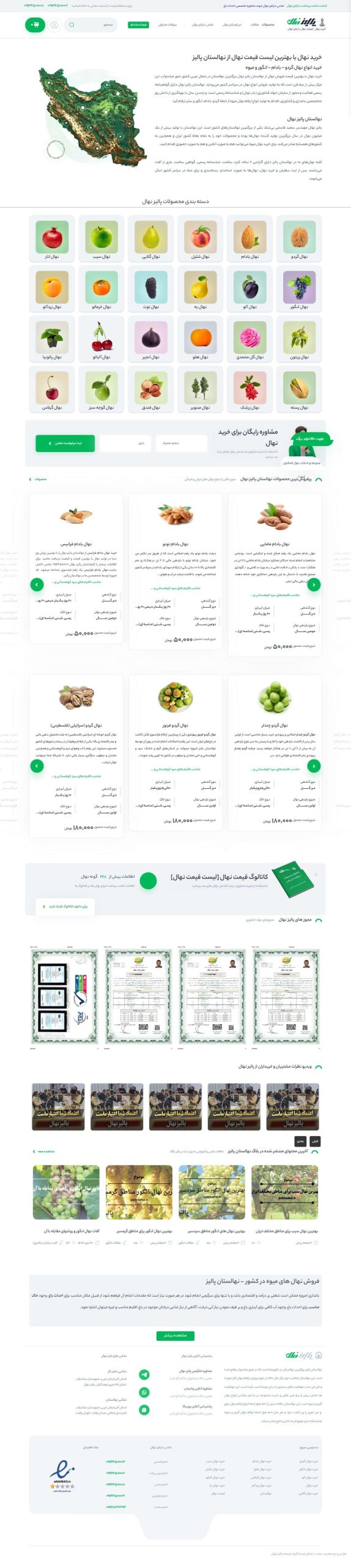 طراحی سایت paliznahal