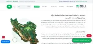 سئو سایت پالیز نهال